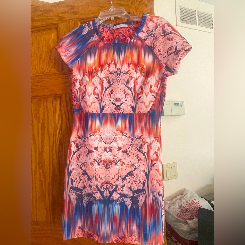 Zara dress M